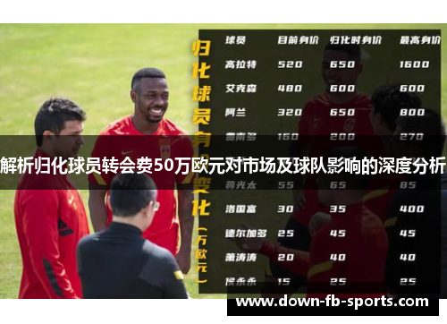 解析归化球员转会费50万欧元对市场及球队影响的深度分析