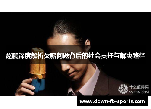 赵鹏深度解析欠薪问题背后的社会责任与解决路径