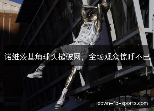诺维茨基角球头槌破网,全场观众惊呼不已 诺维茨基角球头槌破网,全场观众惊呼不已